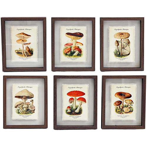 Sil Tableaux décoratifs champignons 30 x 40 cm (Lot de 6).