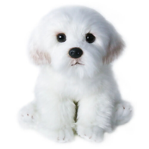 Universal 1 pièce taille L Bichon Fritz chiot peluche maltais chien peluche jouet mignon animal de compagnie émulation moelleux bébé poupée cadeau d'anniversaire enfants | animaux en peluche