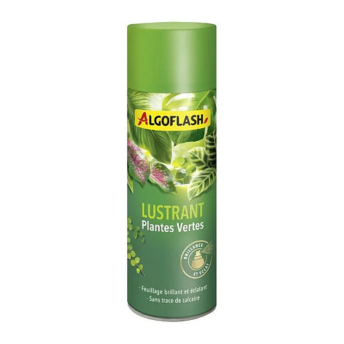 ALGOFLASH - Lustrant Plantes Vertes 250 mL