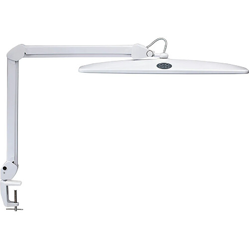 MAUL Lampe de bureau à LED MAULwork, pince, dimmable, blanc ()