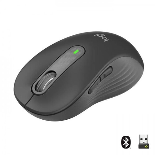 Souris Sans Fil Logitech Signature M650 L - Grande Taille Silencieuse, Bluetooth, Boutons Programmables - Graphite