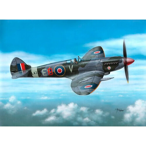 Spitfire F Mk 21 "Post WWII Service" - 1:72e - Special Hobby