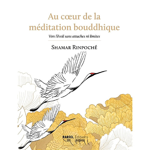 Au coeur de la méditation bouddhique : vers l'éveil sans attaches ni limites