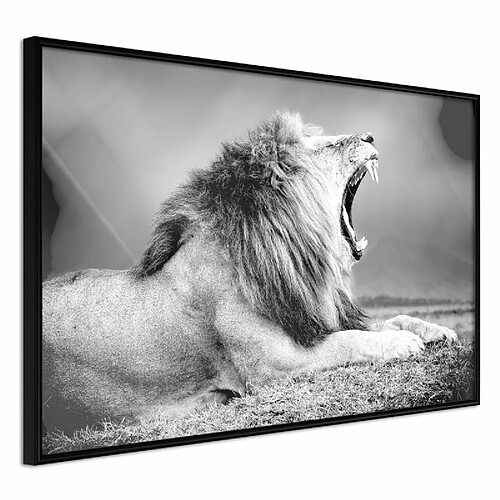 Paris Prix Affiche Murale Encadrée Yawning Lion 90 x 60 cm Noir