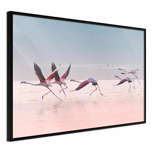 Paris Prix Affiche Murale Encadrée Flamingos Breaking into a Flight 60 x 40 cm Noir