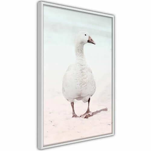 Paris Prix Affiche Murale Encadrée Walking Goose 30 x 45 cm Blanc