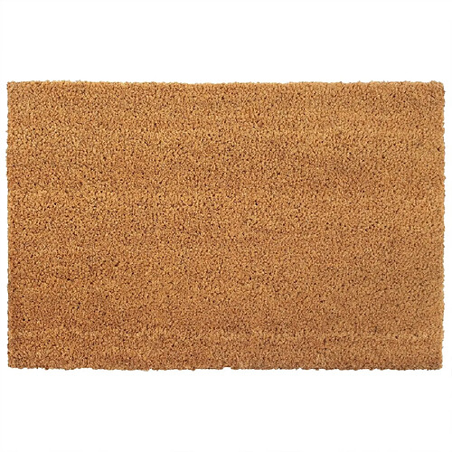 vidaXL Tapis de porte naturel 40x60 cm fibre de coco touffeté