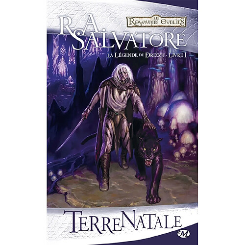 La légende de Drizzt. Vol. 1. Terre natale · Occasion