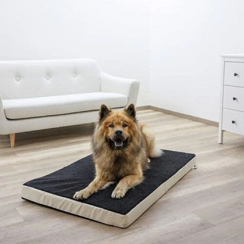 Kerbl Matelas en mousse pour chiens 80 x 50 cm Beige et Gris 80326