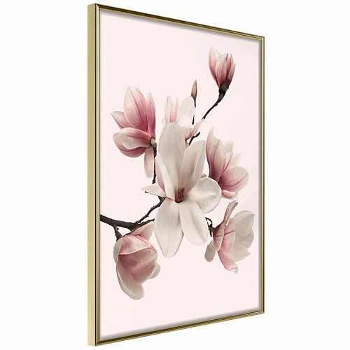 Paris Prix Affiche Murale Encadrée Blooming Magnolias I 30 x 45 cm Or