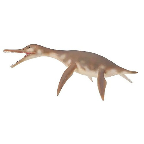 Figurines Collecta Figurine Dinosaure : Dolichorhynchops