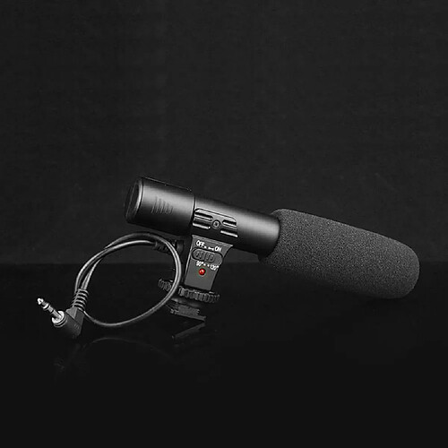 Justgreenbox Microphone d'enregistrement pour caméscope stéréo - 4001260265180