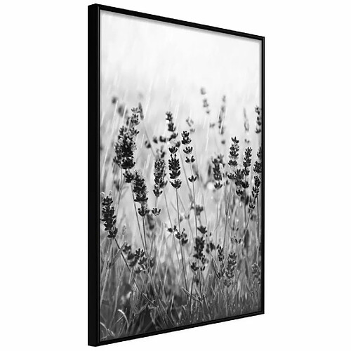 Paris Prix Affiche Murale Encadrée Shadow of Meadow 20 x 30 cm Noir