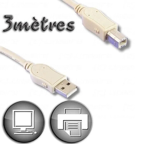 LINEAIRE Câble USB 2.0 A mâle / Type B mâle 3m