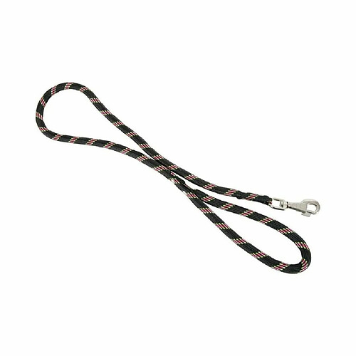 ZOLUX Laisse en nylon ultrarésistante noire 13 mm 2 m.