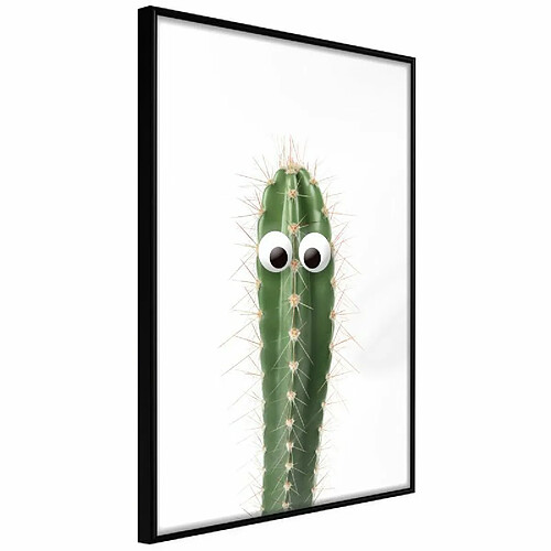 Paris Prix Affiche Murale Encadrée Funny Cactus I 40 x 60 cm Noir