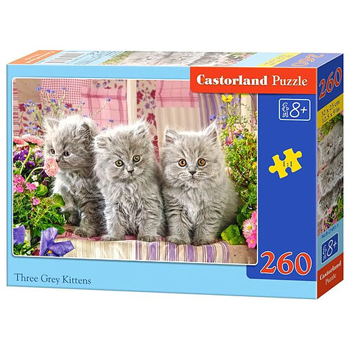 Three Grey Kittens, Puzzle 260 Teile - Castorland