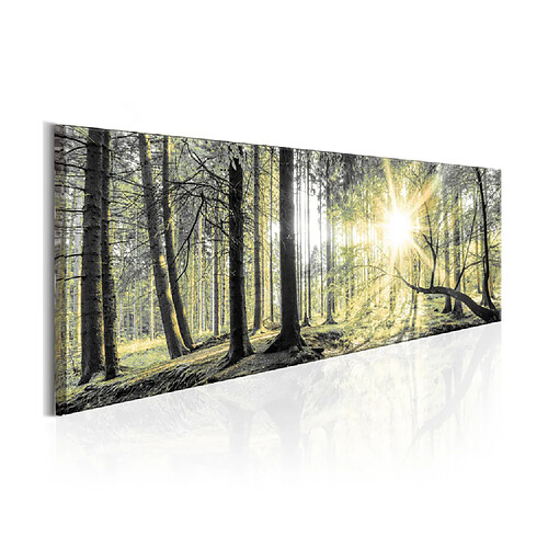 Paris Prix Tableau Imprimé Morning Forest 50 x 150 cm