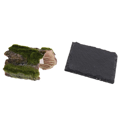 Tortue Climb Stone Board Habitat Reefile Rock Plat À Bol En Ornement Avec Assiette En Peau De Reptile Cave Cave