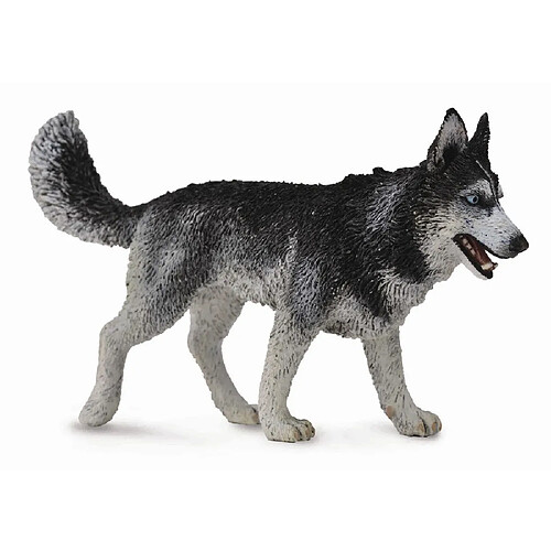 Figurines Collecta Figurine Chien : Husky de Sib