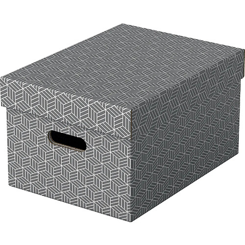 Esselte Boîte de rangement Home M, set de 3, gris ()