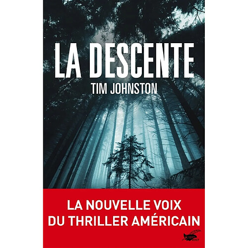 La descente · Occasion