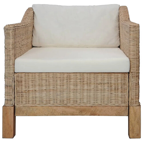 Maison Chic Ensemble de canapés 3 pcs avec coussins, Canapé droit Sofa pour Salon Rotin naturel -GKD544404