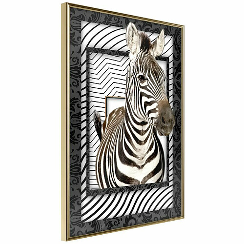 Paris Prix Affiche Murale Encadrée Zebra in the Frame 40 x 60 cm Or