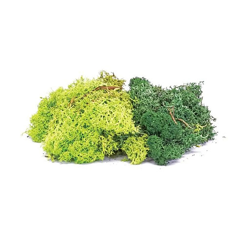 Skale Scenics Lichen - Green Mix - Humbrol