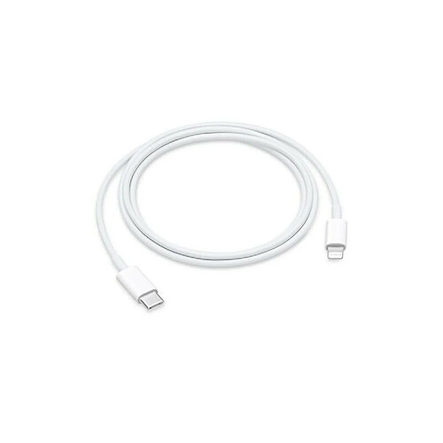 Câble USB C vers Lightning pour Apple iPhone iPad iPod 1m Blanc