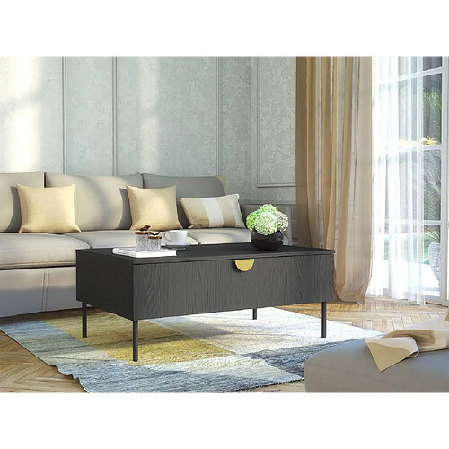 Vente-Unique Table basse avec 1 porte - Noir et doré - NATANIEL