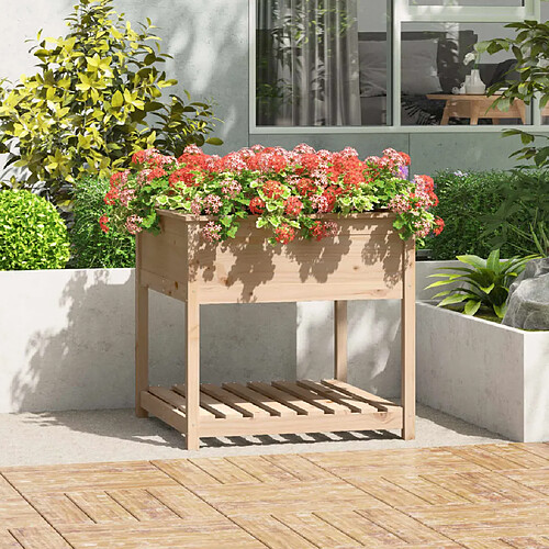 vidaXL Jardinière avec étagère 82,5x82,5x81 cm Bois massif de pin