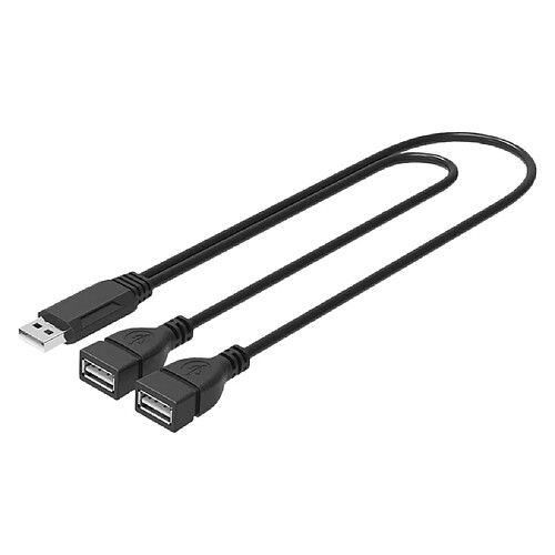 Câble D'alimentation USB 2.0 A Mâle à 2 Doubles USB 480 Mbps basé sur technologie USB 2.0