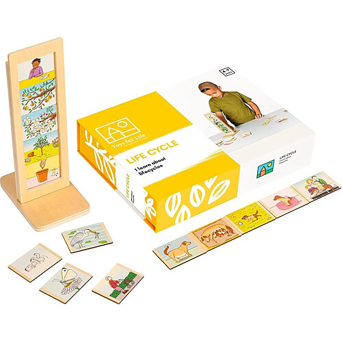 Toysforlife Biologie - Nature Cycle de vie - jeu Montessori