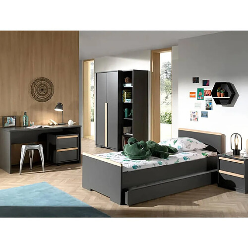 Vipack Armoire mobile 2 tiroirs London Bois Anthracite