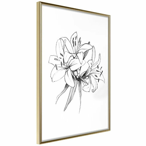 Paris Prix Affiche Murale Encadrée Sketch of Lillies 30 x 45 cm Or