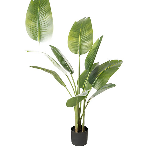 Plante décorative Romimex Strelitzia Plastique 75 x 110 x 75 cm