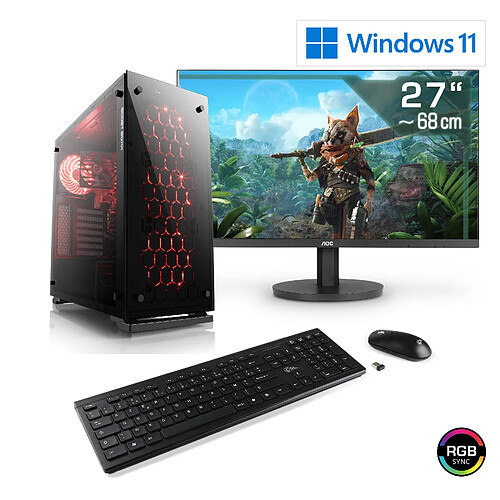 CSL-Computer PC Gaming M11310H