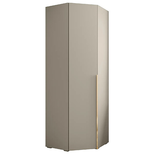 Abiks Meble Armoire Inova 1 236,7/81,7/81,7 (gris/d’oro)