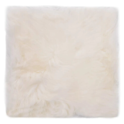 Maison Chic Lot de 2 Coussins Confort,Coussins de chaise Blanc 40x40cm Peau de mouton véritable -GKD43079