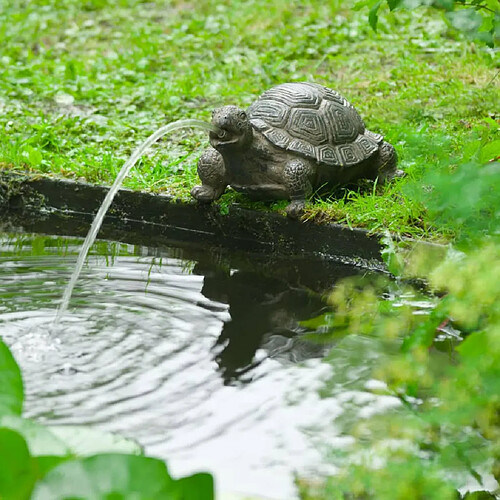 Ubbink Fontaine de jardin à cracheur Tortue