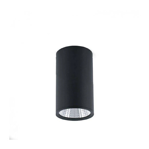 faro Spot noir Rel