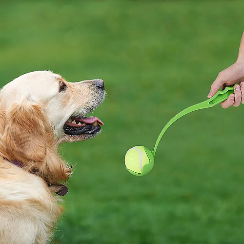 Jouets pour chien, Jouets pour chien, Jouets pour chien, Jouets pour chien, Jouets pour chien, Jouets pour chien, Jouets pour chien, Jouets pour chien, Jouets pour chien, Jouets pour chien, Jouets pour chien, Jouets pour chien, Jouets pour chien, Jouets p