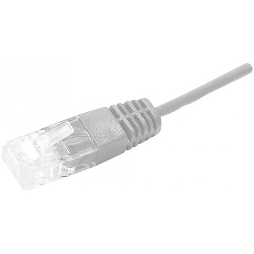 Abi Diffusion Cordon utp 1P gris RJ45/RJ45 telephone 100 ohms - 0,50M