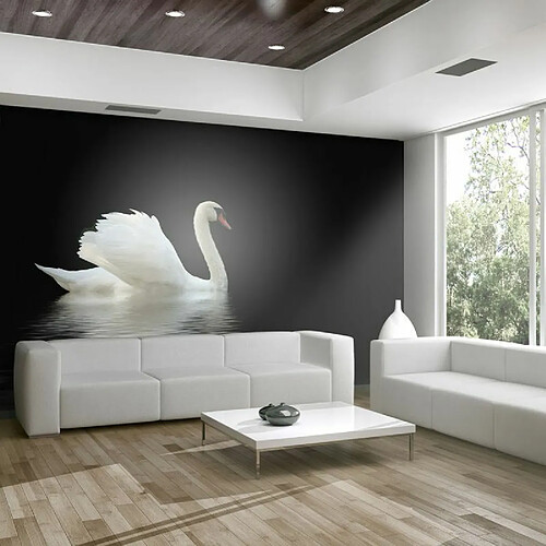 Paris Prix Papier Peint Cygne Noir & Blanc 154 x 200 cm