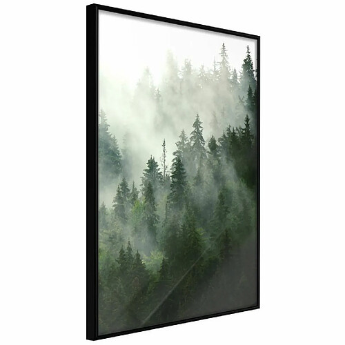 Paris Prix Affiche Murale Encadrée Steaming Forest 30 x 45 cm Noir