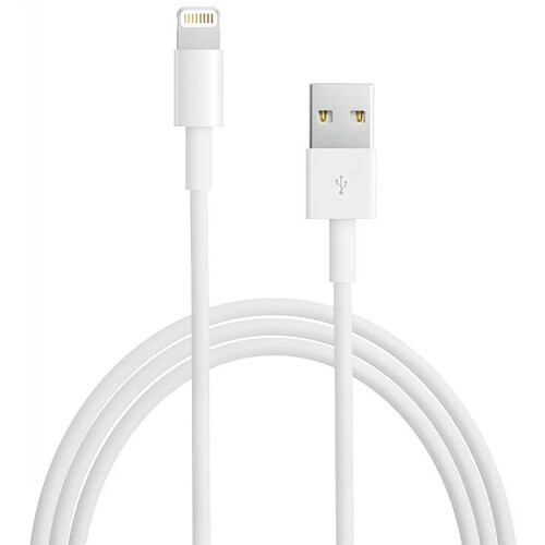 Apple MD819 - Câble Lightning Original - 2m - Blanc (En Vrac)