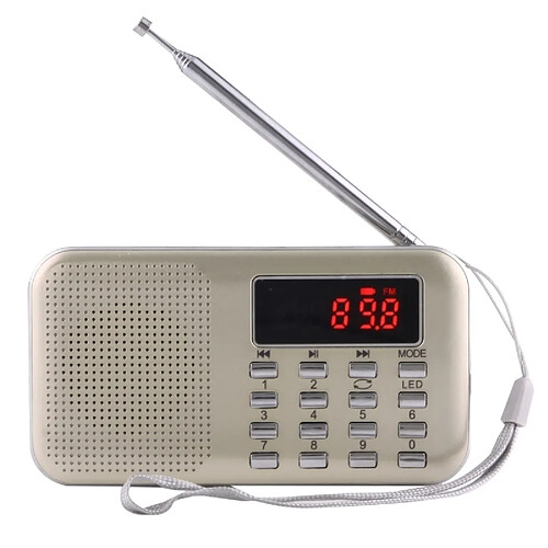 Wewoo Y-896 Portable LCD stéréo numérique FM Radio AM haut-parleur, batterie Li-ion rechargeable, Support Micro TF carte / USB / MP3 Player