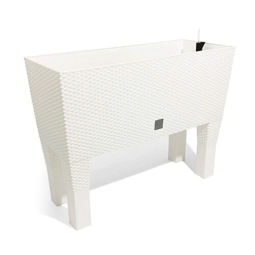 Pot de fleurs en rotin Prosperplast Rato Case DRTC600H S449 blanc