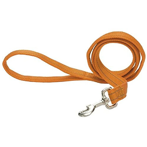 Beeztees Aventura Réfléchissant Laisse en Nylon pour Chien Orange 120 x 2 cm